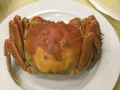 -王宝和酒家(黄浦店)