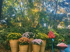 -共青国家森林公园-售票处