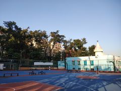 -金湖花园篮球场