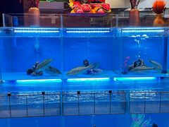 -怡咖啡·自助餐·西安香格里拉
