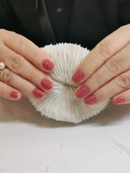 点击看大图 -U-Nail