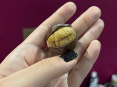 -杨记板栗(天虹总店)