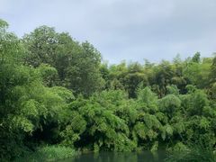 -杭州植物园