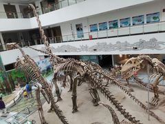 -中国地质大学逸夫博物馆