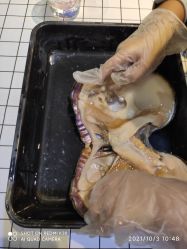 -故事馆手作综合体验馆