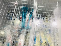 -九记潮汕现切鲜牛肉自助火锅(新开铺店)