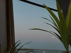 -抱抱地球咖啡馆(国家海洋博物馆店)