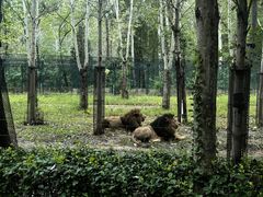 -秦皇岛野生动物园