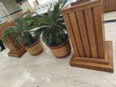 -草原传奇鲜羊火锅(桥北店)