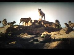 -星美国际影商城(太原万通店)