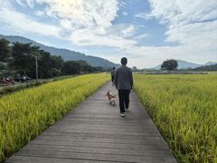 -风云岭森林公园