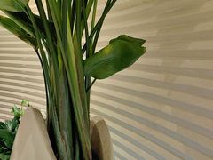 -狮王府淮扬菜(万象城店)