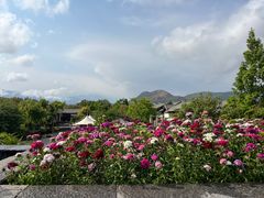 -时光吧·大堂吧·丽江和府洲际度假酒店