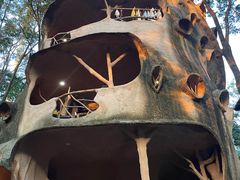 -天门沟九州驿站树上汤泉