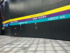 -望京西(地铁站)