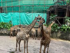 -长鹿旅游休博园