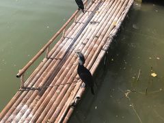 -朱仙镇启封故园景区