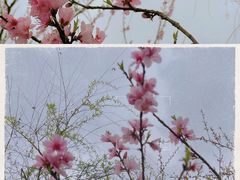 -观山湖公园