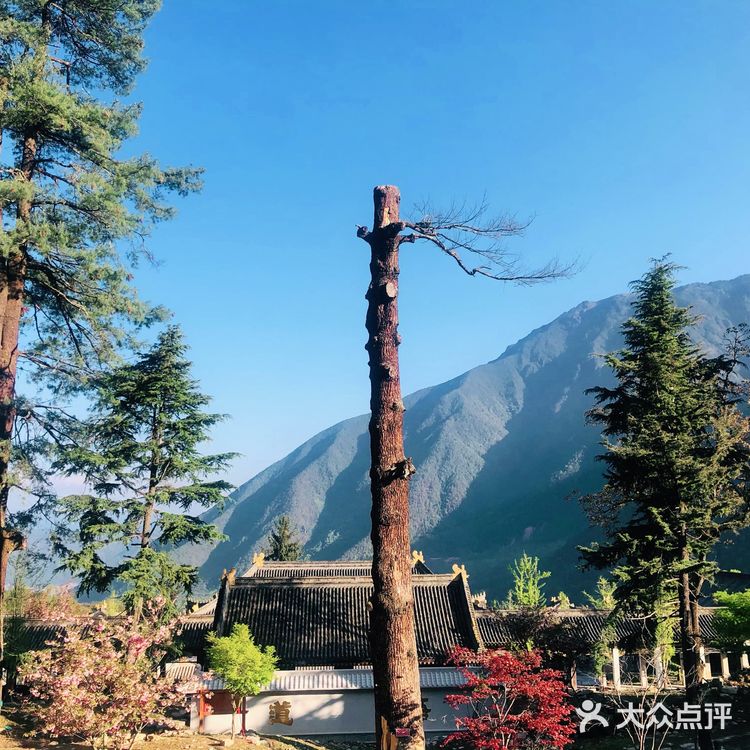 灵山寺 一座藏在深山里的寺庙