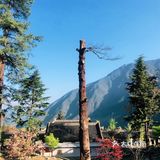 灵山寺 一座藏在深山里的寺庙