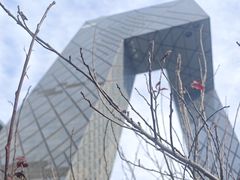 -北京网络广播电视台