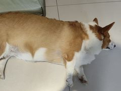 -平行世界·猫咖(首经贸店)