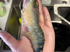 罗氏虾每斤-王四营海鲜市场