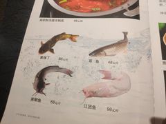 -不老溪贵州菜(广安门总店)