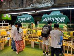 -正佳雨林生态植物园