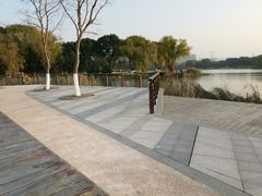 -昆山城市生态森林公园