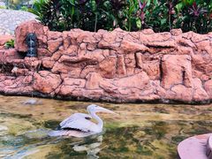 -吉隆坡雀鸟公园