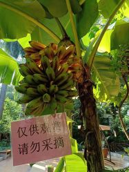 -宝生月子中心(独栋园林·福田店)