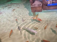 -西安华夏文旅水世界
