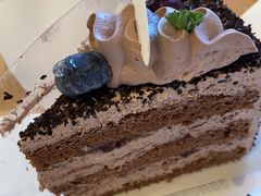 黑森林-阿可米朵动物奶油生日蛋糕(东特店)