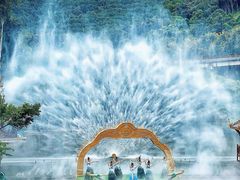 -西双版纳原始森林公园