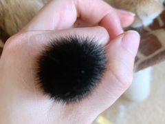 -猫腻·猫咖·撸猫馆(星光大道店)