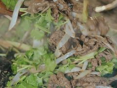 -烤肉宛饭庄(北新桥店)