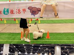 -南宁国际会展中心
