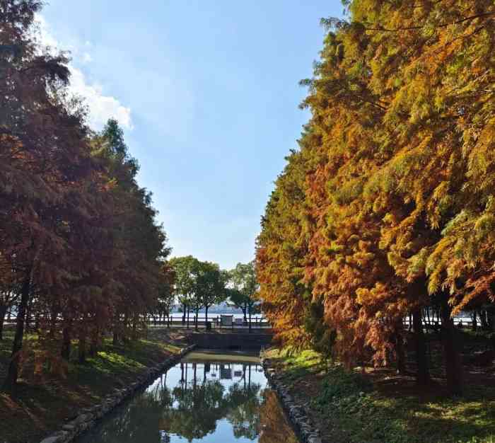 悅儂戶外燒烤團建農家樂浦江郊野公園店