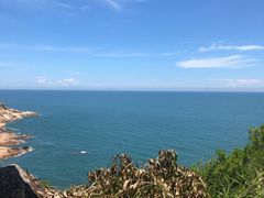 -广东惠东海龟国家级自然保护区