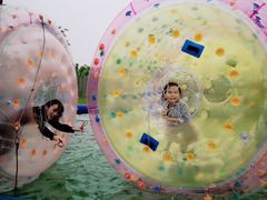 -上海长兴岛郊野公园