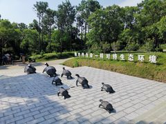 -广东惠东海龟国家级自然保护区