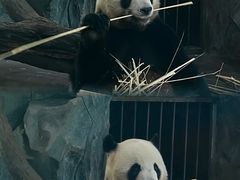 -云南野生动物园