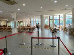 -上海野生动物园老虎餐厅