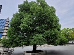 -香积寺