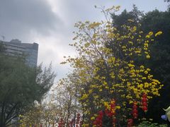 -洲头咀公园
