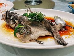 -绿岛国际酒店·海鲜酒楼(八七路店)