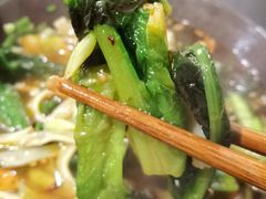 油麦菜-邓记手擀面(桃花源店)