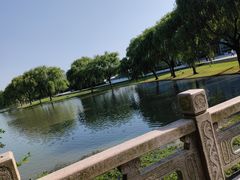 -东华大学(松江校区)