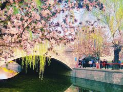 -海棠花溪(元大都城垣遗址公园)